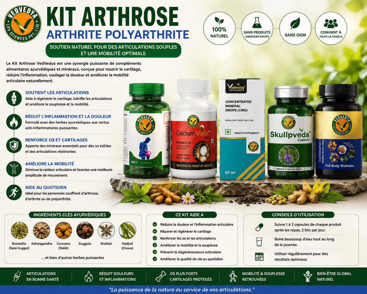 KIT ARTHROSE ARTHRITE POLYARTHRITE