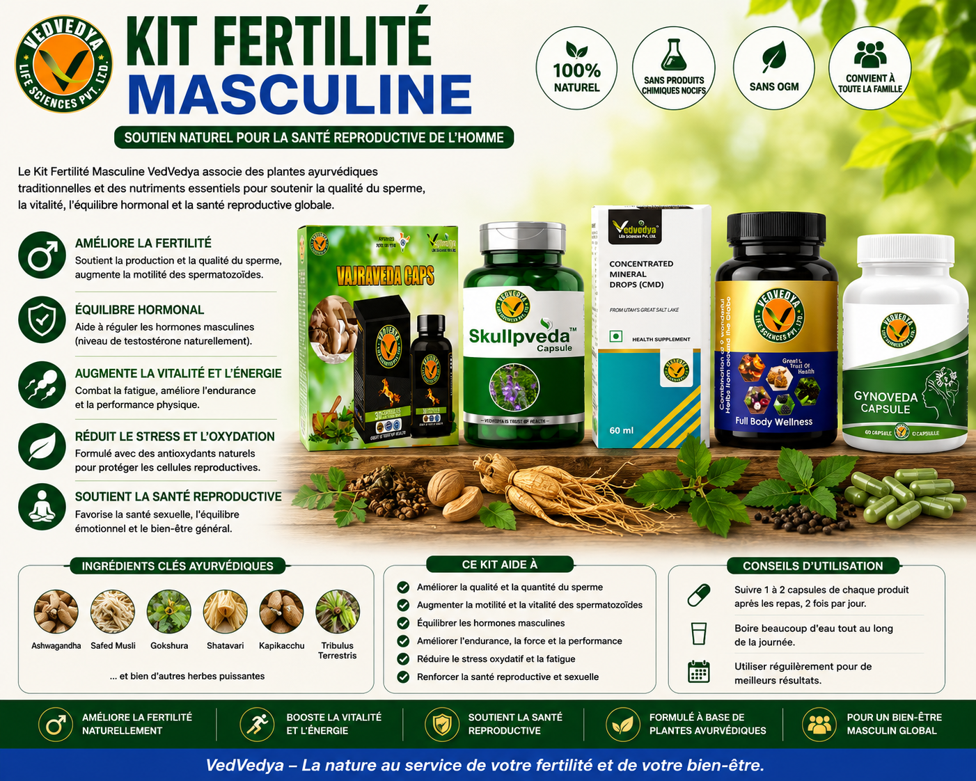 KIT FERTILITE MASCULINE