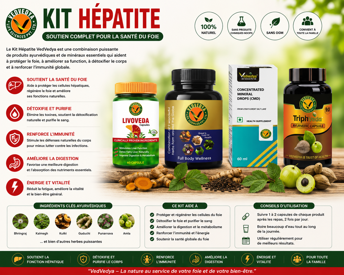 KIT HEPATITE