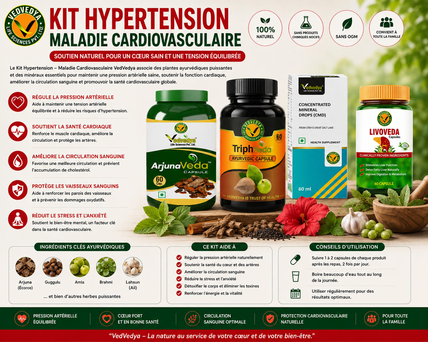 KIT HYPERTENSION MALADIE CARDIOVASCULAIRE