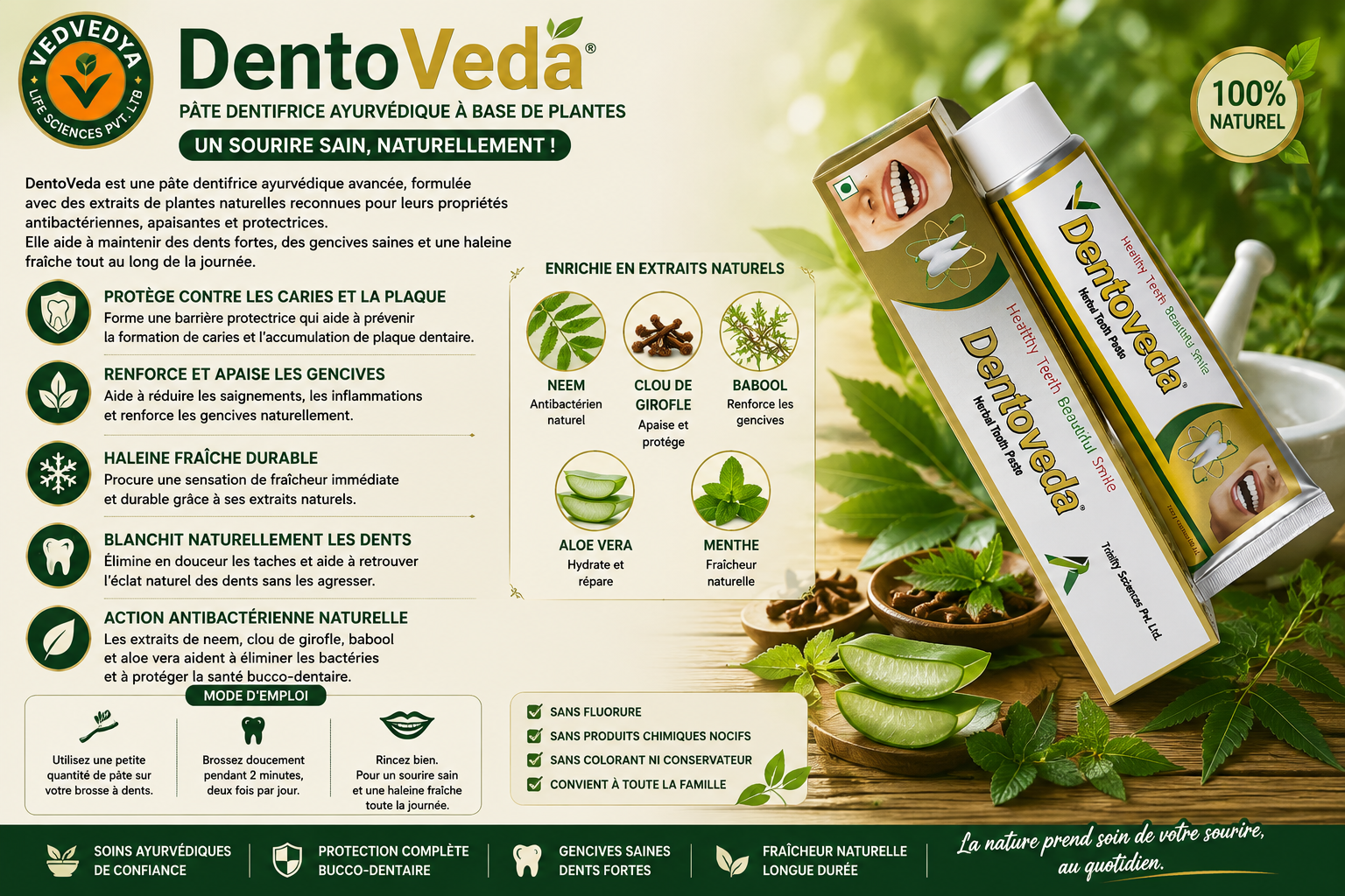 DENTOVEDA
