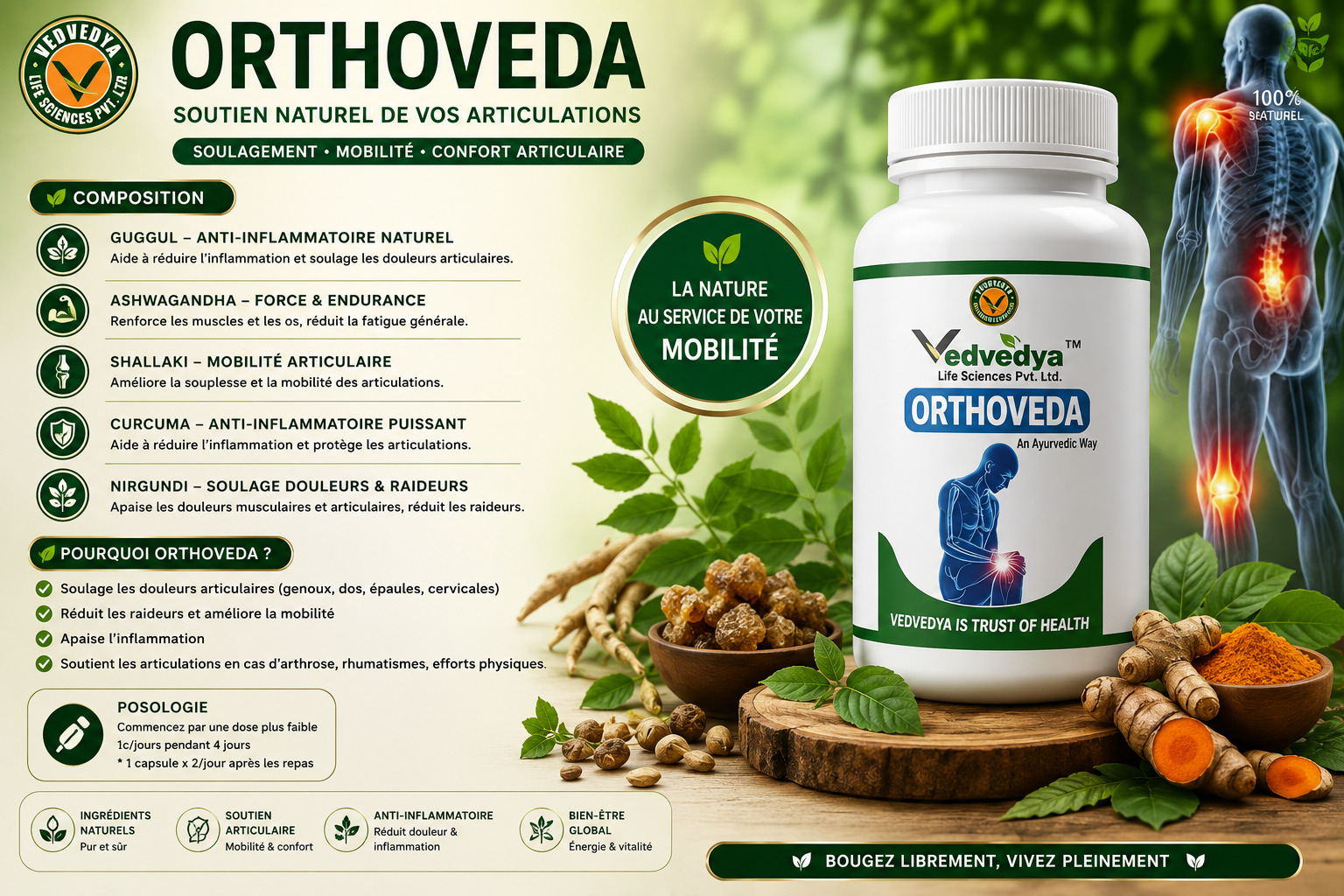 ORTHOVEDA