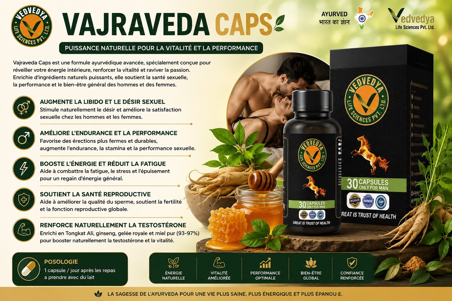 VAJRAVEDA (Cheval)